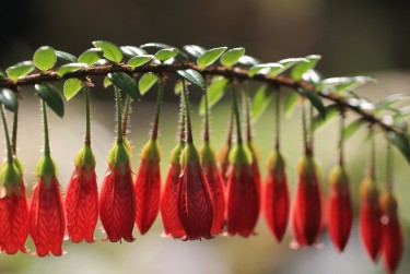 佛山禅城区9私人快速借钱网，轻松解决资金难题