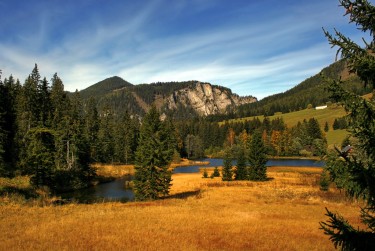 佛山禅城区9民间私贷攻略：揭秘低成本借贷的秘密