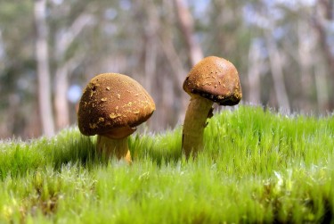 佛山禅城区9私人老板放款：轻松融资的秘密通道